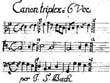 Canons and Late Contrapuntal Works