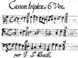 Canons and Late Contrapuntal Works